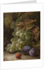 Bunch of Grapes, 1893 by Oliver Clare