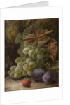 Bunch of Grapes, 1893 by Oliver Clare