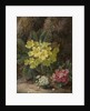 Primroses, 1893 by Oliver Clare