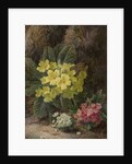 Primroses, 1893 by Oliver Clare