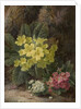 Primroses, 1893 by Oliver Clare