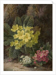 Primroses, 1893 by Oliver Clare