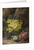 Primroses, 1893 by Oliver Clare