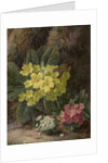 Primroses, 1893 by Oliver Clare