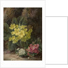 Primroses, 1893 by Oliver Clare