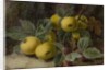Quince and Blackberries, c.1893 by Oliver Clare