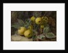 Quince and Blackberries, c.1893 by Oliver Clare