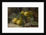 Quince and Blackberries, c.1893 by Oliver Clare