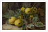 Quince and Blackberries, c.1893 by Oliver Clare