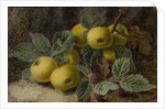 Quince and Blackberries, c.1893 by Oliver Clare