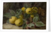 Quince and Blackberries, c.1893 by Oliver Clare