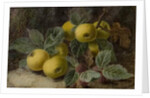 Quince and Blackberries, c.1893 by Oliver Clare