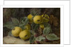 Quince and Blackberries, c.1893 by Oliver Clare