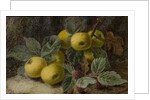 Quince and Blackberries, c.1893 by Oliver Clare