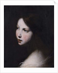 Head of a Girl, c.1640 by Francesco Furini