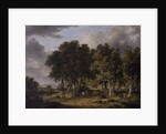 A View in the New Forest, mid-19th century by James Stark