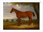 Chestnut Hunter in a Landscape, 1867 by Edwin Brown