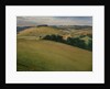 Summer in the Downs, 1946 by Christopher Richard Wynne Nevinson