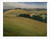 Summer in the Downs, 1946 by Christopher Richard Wynne Nevinson