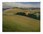 Summer in the Downs, 1946 by Christopher Richard Wynne Nevinson