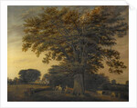 The Binley Oak, 1848 by Edwin Brown
