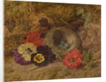 A Bird's Nest, Pansies and Verbena, late 19th century by Thomas Worsey
