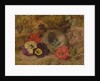 A Bird's Nest, Pansies and Verbena, late 19th century by Thomas Worsey