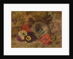 A Bird's Nest, Pansies and Verbena, late 19th century by Thomas Worsey