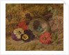 A Bird's Nest, Pansies and Verbena, late 19th century by Thomas Worsey