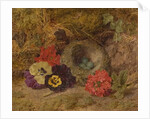 A Bird's Nest, Pansies and Verbena, late 19th century by Thomas Worsey