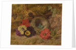 A Bird's Nest, Pansies and Verbena, late 19th century by Thomas Worsey