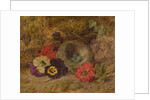 A Bird's Nest, Pansies and Verbena, late 19th century by Thomas Worsey