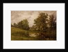 Pond near Whittem's Farm, near Coundon, late 19th-early 20th century by John Anderson