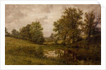 Pond near Whittem's Farm, near Coundon, late 19th-early 20th century by John Anderson