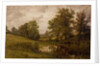 Pond near Whittem's Farm, near Coundon, late 19th-early 20th century by John Anderson