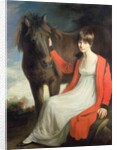 Portrait of Miss Emily Beauchamp with her Pony by John Opie