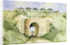 The Grand Surrey Iron Railway by George Buchanan Wollaston