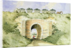 The Grand Surrey Iron Railway by George Buchanan Wollaston