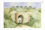 The Grand Surrey Iron Railway by George Buchanan Wollaston