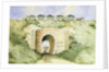 The Grand Surrey Iron Railway by George Buchanan Wollaston