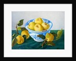 Apples in a Blue Bowl, 2014 by Cristiana Angelini