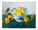Apples in a Blue Bowl, 2014 by Cristiana Angelini