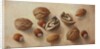 Walnuts and Hazelnuts, 2014 by Cristiana Angelini