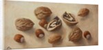 Walnuts and Hazelnuts, 2014 by Cristiana Angelini