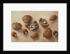 Walnuts and Hazelnuts, 2014 by Cristiana Angelini