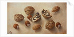 Walnuts and Hazelnuts, 2014 by Cristiana Angelini