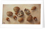 Walnuts and Hazelnuts, 2014 by Cristiana Angelini