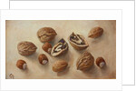 Walnuts and Hazelnuts, 2014 by Cristiana Angelini