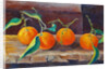 Fruit on a Shelf, 2014 by Cristiana Angelini