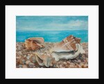 Three Shells by Cristiana Angelini